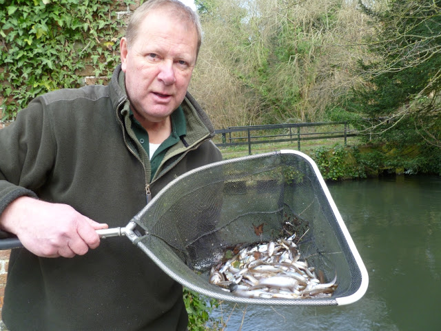Trevor Harrop is pushing for anglers to help the efforts for better control of UK cormorant numbers.