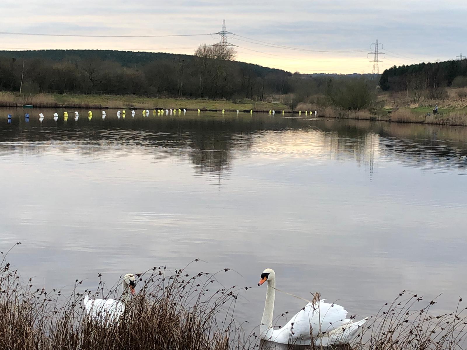 Shirebrook Miners’ Welfare AC water Sookholme Ponds, where the carp poachers were ejected.
