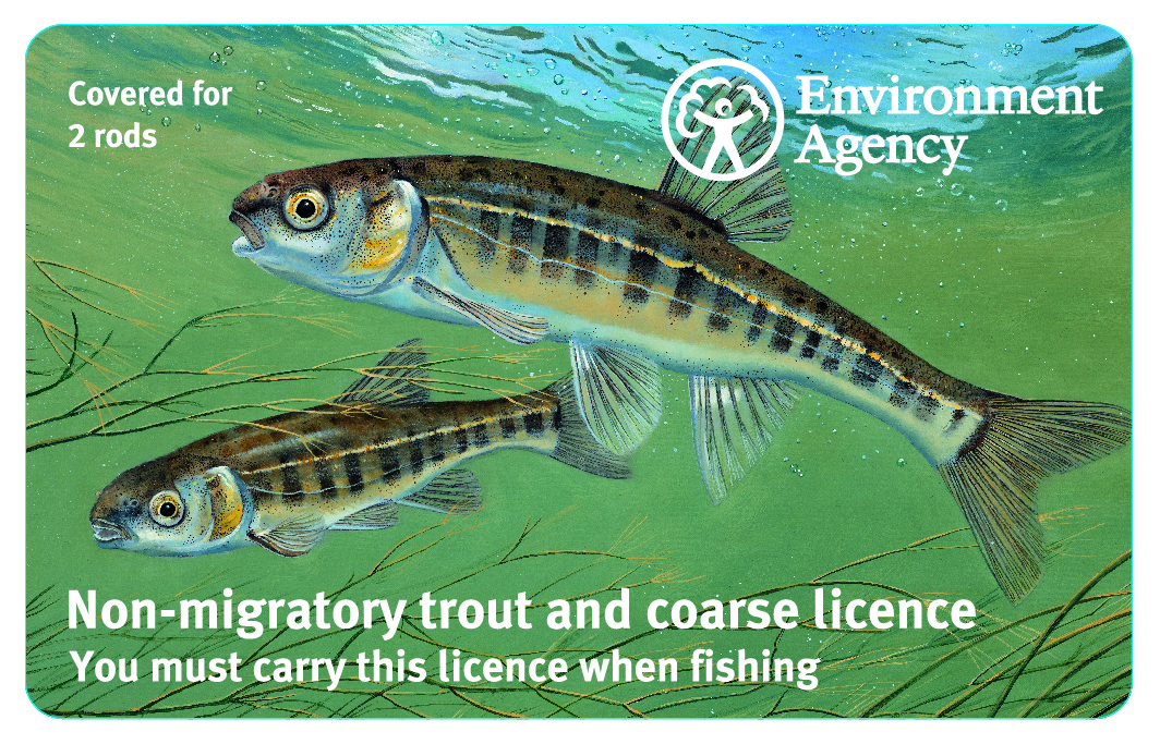 rod licence