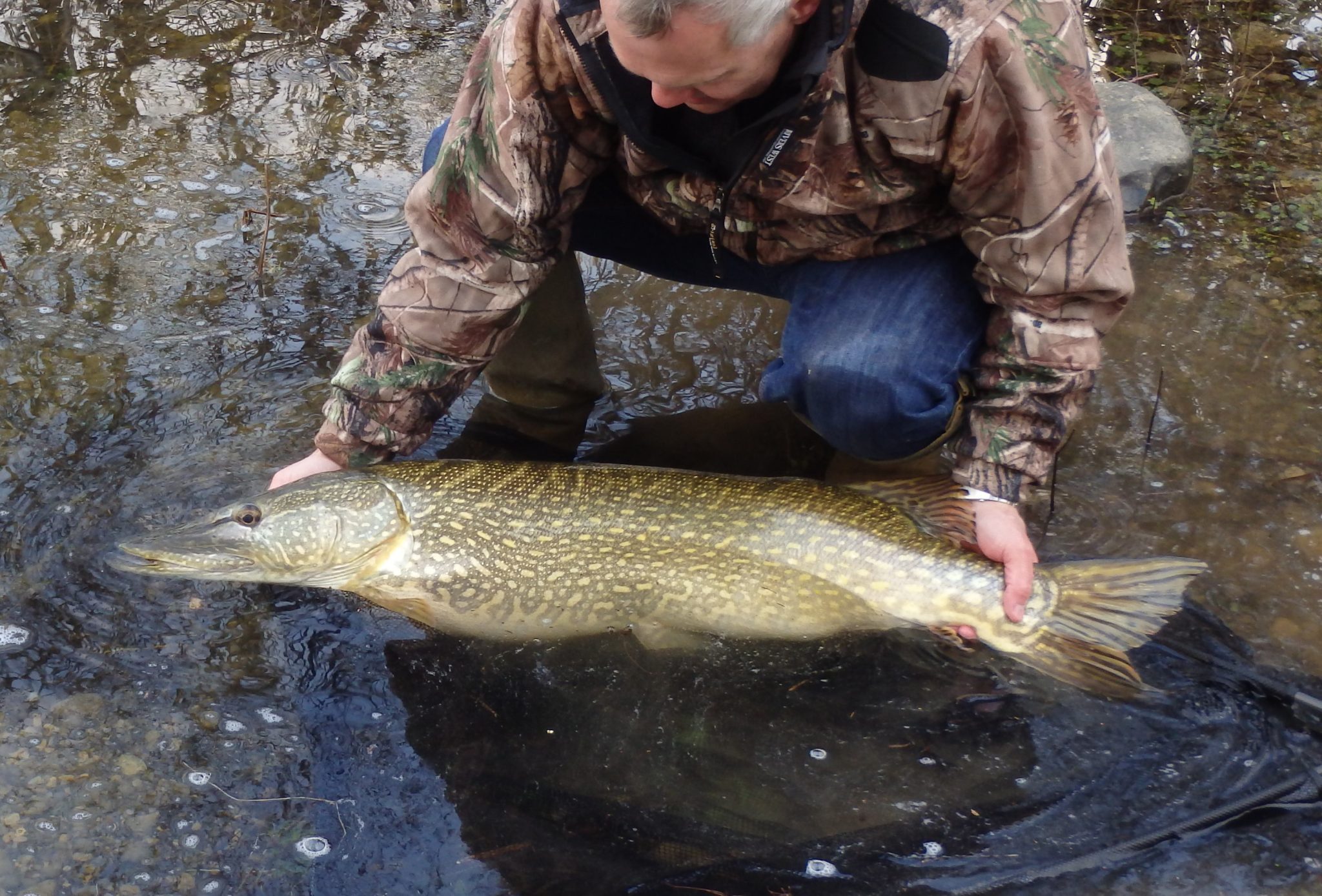 Bellflask Fishery sees three pals land three huge pike