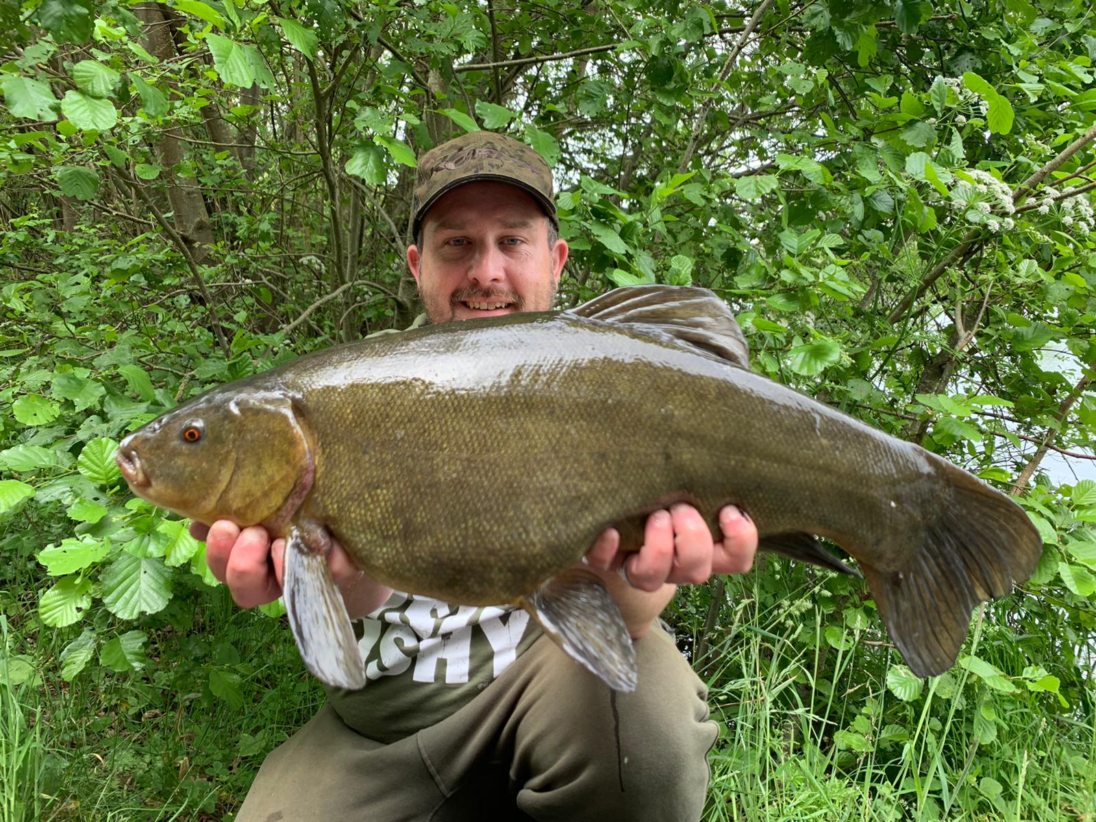 Heavyweight tench tempted on float fishing tactics