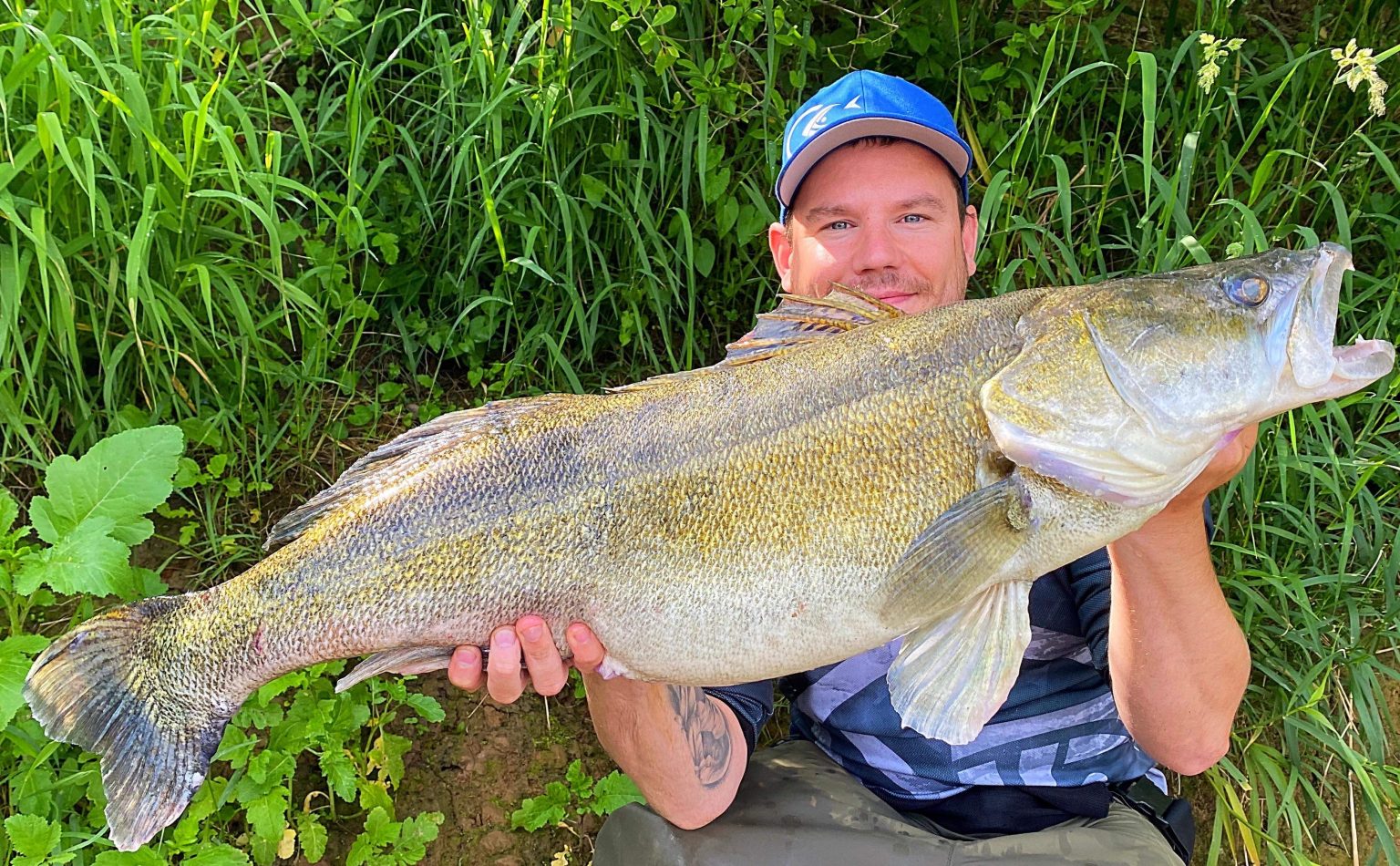zander - Angler&amp;#39;s Mail