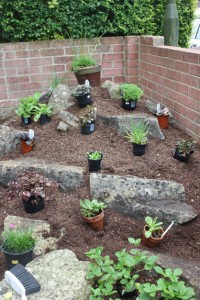 alpine rockery