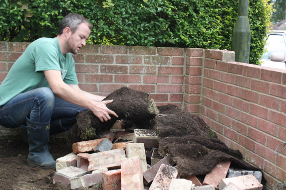 Create An Alpine Rockery Gardening Alpine Rockery