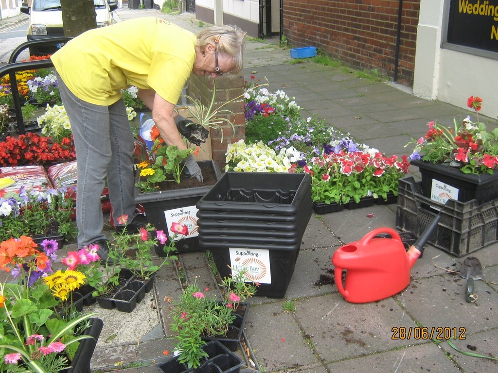 RHS Britain in Bloom 'saves UK £23 million' Amateur Gardening
