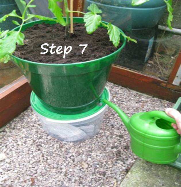 How to create a selfwatering planter Amateur Gardening