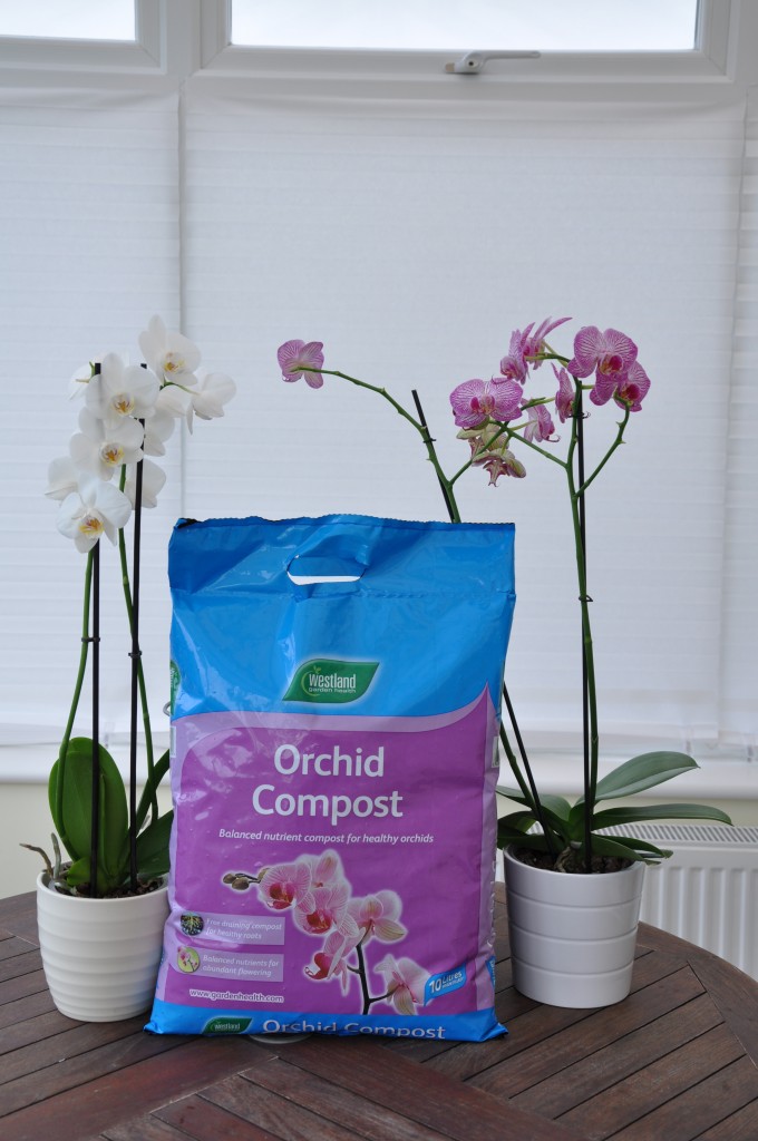 The ultimate guide to compost Page 3 of 3 Amateur Gardening