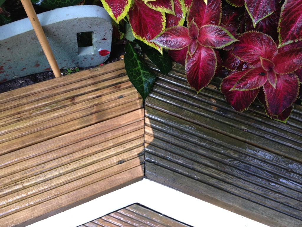 How to clean timber decking Amateur Gardening