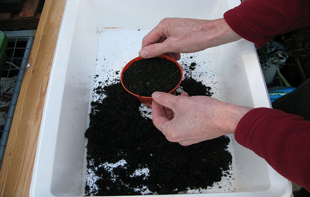 sow seeds