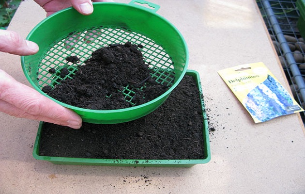 sow seeds
