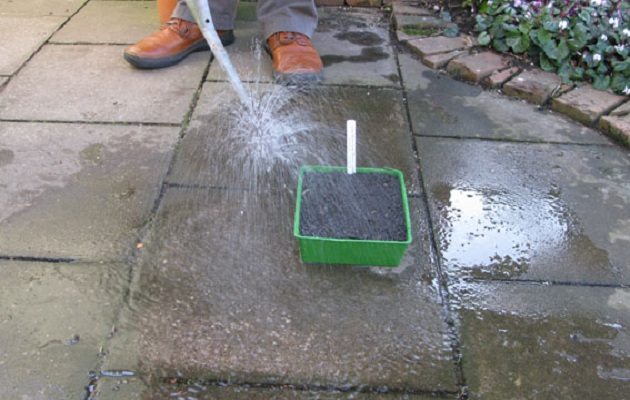 Step 7) Water the seed tray