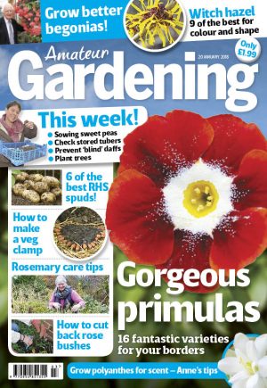 AG cover Jan 20 2018
