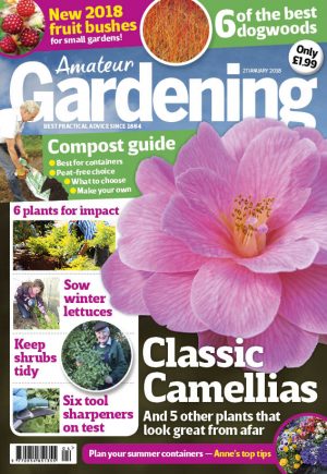 Amateur Gardening cover Jan 27 2018 for web