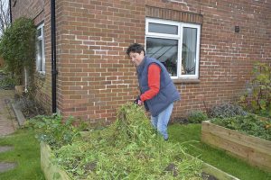 soil inset_157622231_251349131 for web
