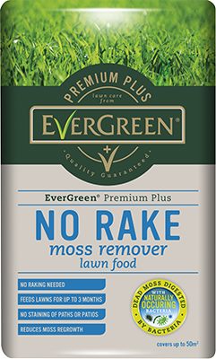 web EverGreen Premium No Rake Moss 5kg Bag 119530 C