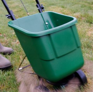 CR4KN8 Gardener using a rotary lawn feed spreader