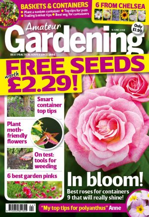 Amateur Gardening Cover 16 Jun 2018