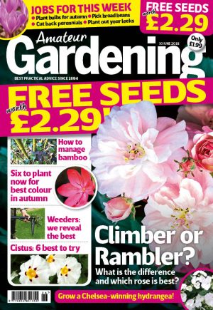 Amateur Gardening cover 30 June 2018
