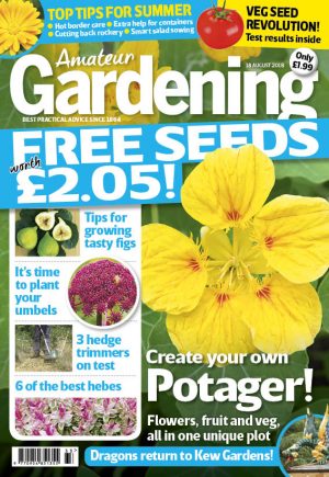 Amateur Gardening 18 August 2018 cover for web