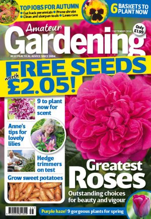 Amateur Gardening Cover 1 September 2018
