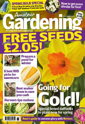 Amateur Gardening Cover 8 September 2018