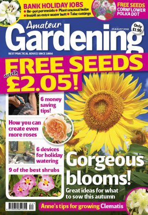 Amateur Gardening cover Aug 25 2018 for web
