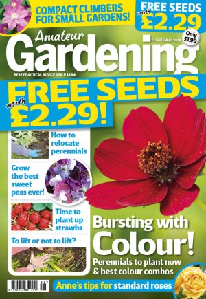 Amateur Gardening cover 22 Sept 2018 for web