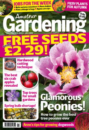 Amateur Gardening cover 13 Oct 2018