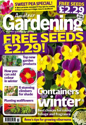 Amateur Gardening cover 20 October 2018