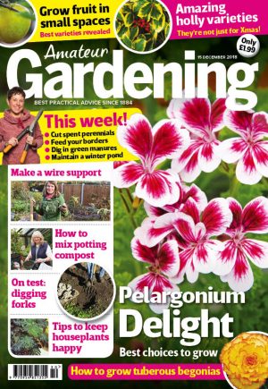 Amateur Gardening cover 15 Dec 2018