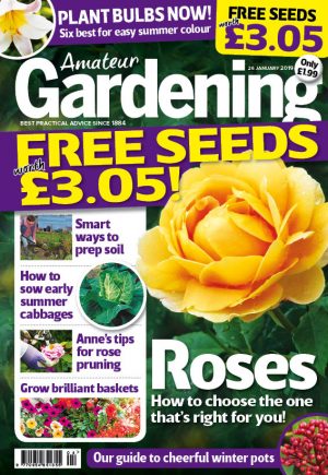 Amateur Gardening cover 26 January 2019