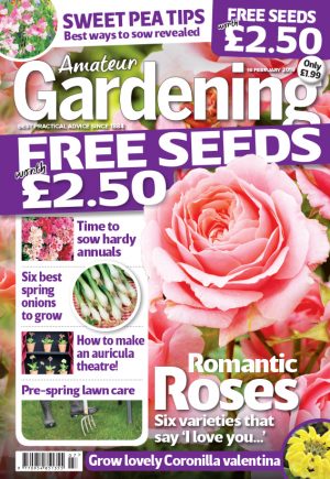 Amateur Gardening cover 16 February 2019