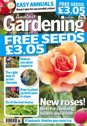 Amateur Gardening cover 25 May 2019
