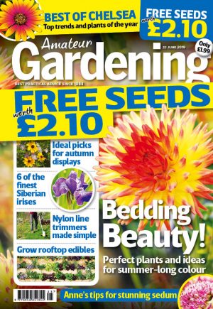 Amateur Gardening cover June 22 2019