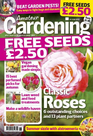 Cover June 29 Amateur Gardening for web