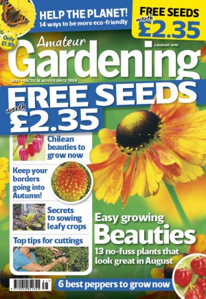 Amateur Gardening cover 3 August 2019