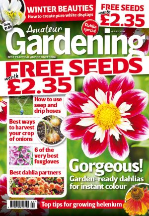 Amateur Gardening cover 6 July 2019