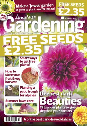 Amateur Gardening cover 17 August 2019