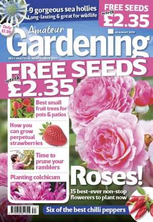 Amateur Gardening cover 24 August 2019