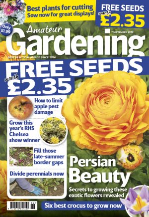 Amateur Gardening cover sept 7 2019 for web