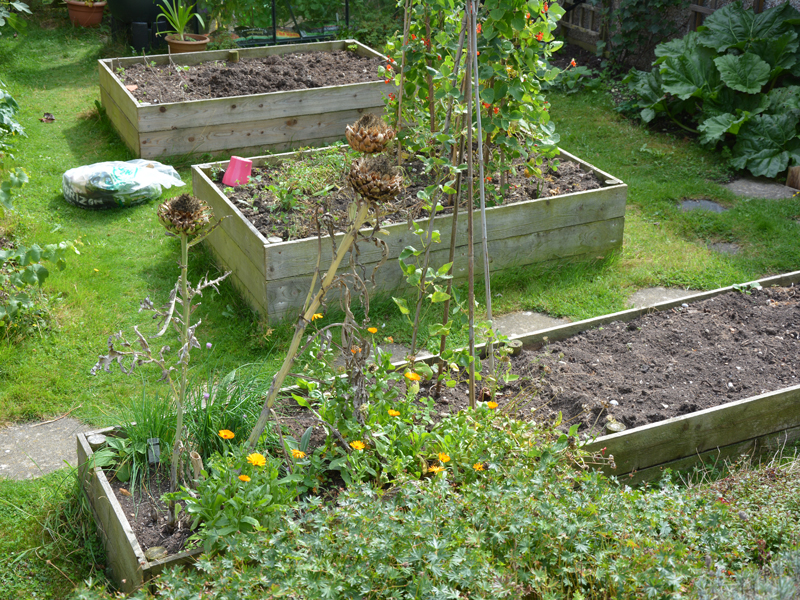 Flowers and Veg Make Your Garden Greener