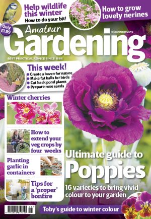 Amateur Gardening 9 November 2019 cover for web