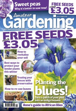 Amateur Gardening cover 12 October 2019