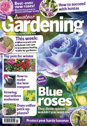 Amateur Gardening cover 23 November 2019