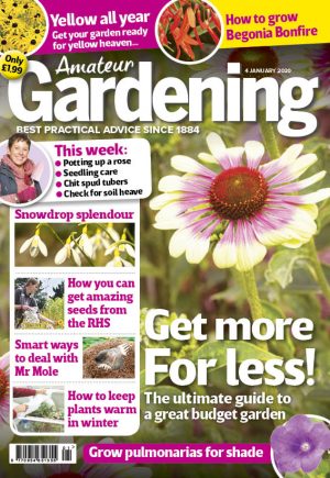 Amateur Gardening cover 4 January 2020