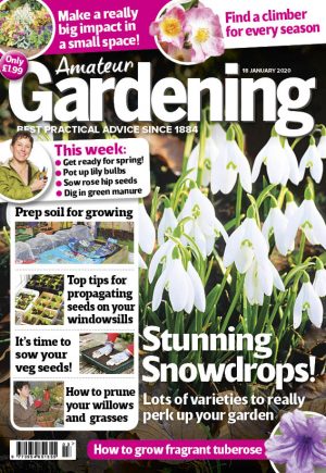 Amateur Gardening cover Jan 18