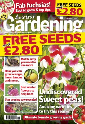 Amateur Gardening 22 Feb 2020 cover