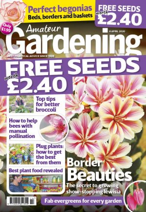 Amateur Gardening 4 April 2020 cover