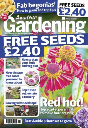 Amateur Gardening 7 March 2020 cover