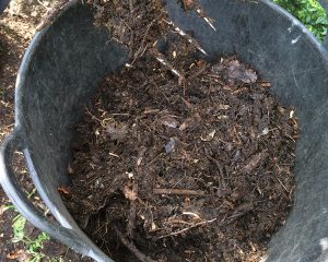 composting, clipping, pruning, mulching, rotting